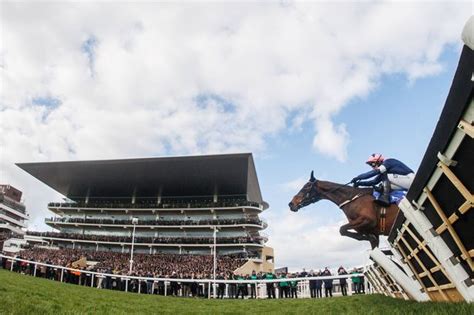 cheltenham race tips